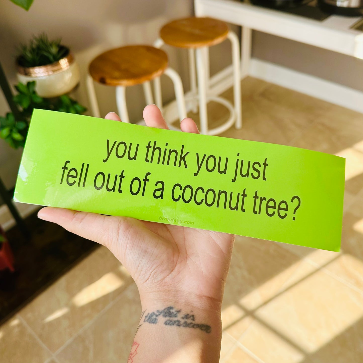 “You think you just fell out of a coconut tree” 2024 Election Bumper Sticker