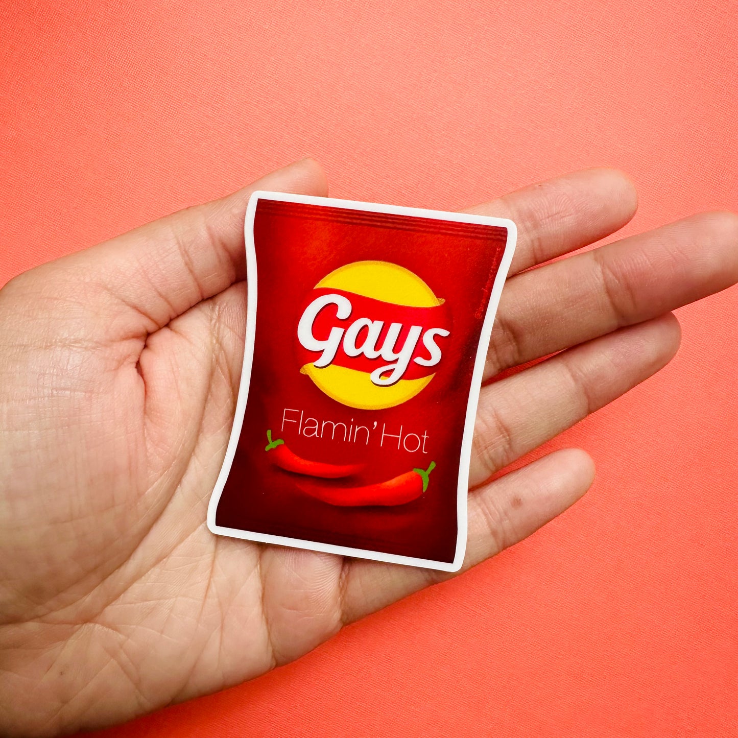 Flamin' Hot Gays Chips Sticker