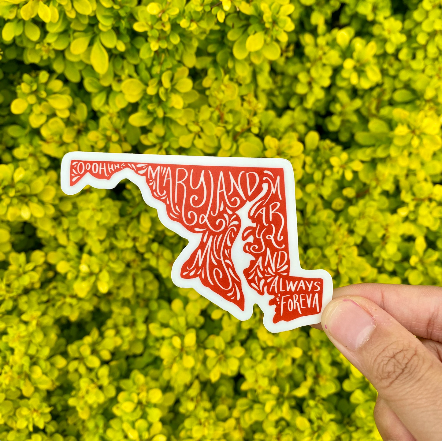 Oh Maryland My Maryland Sticker