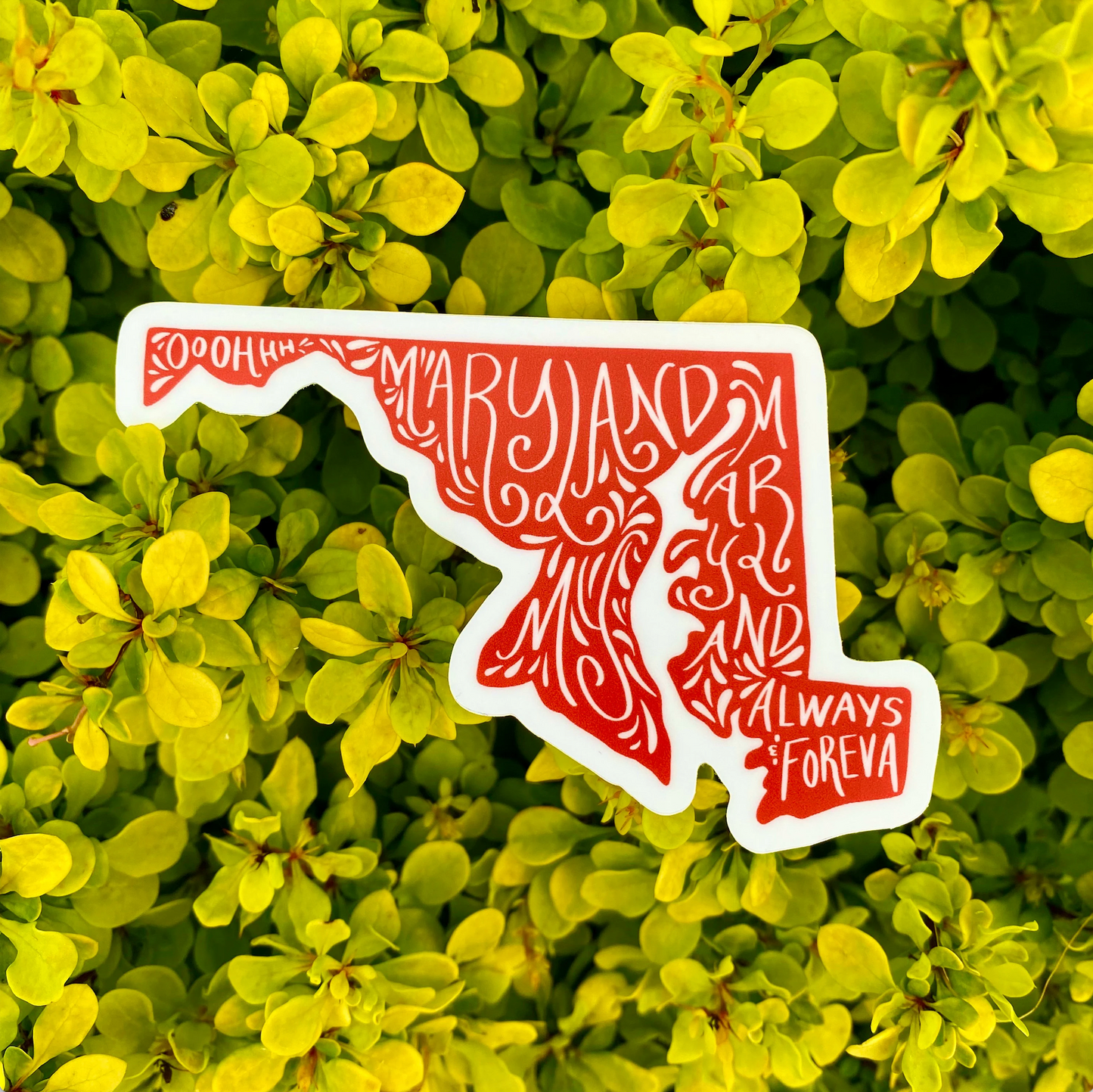 Oh Maryland My Maryland Sticker