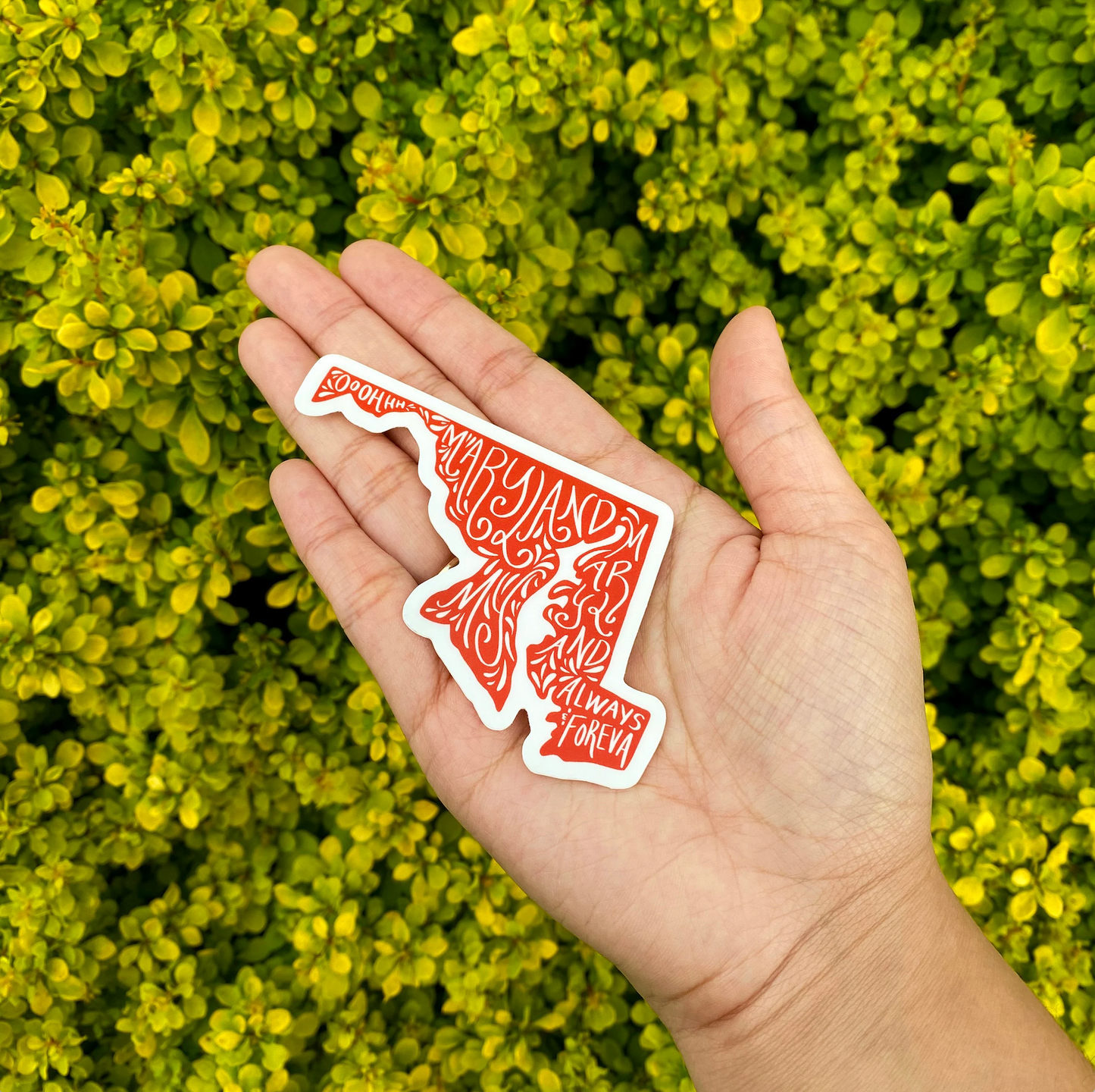 Oh Maryland My Maryland Sticker